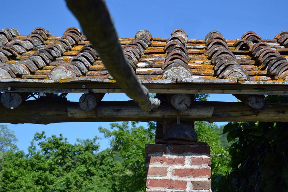 Locanda Di Praticino Petrognano  Eksteriør bilde